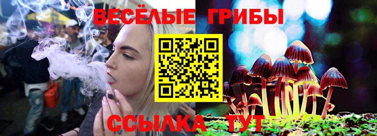 Псилоцибиновые грибы прущие грибы Обнинск